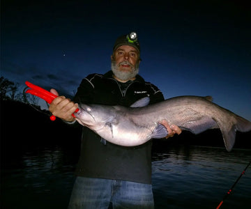 Are Catfish Bottom Feeders