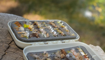 Artistic Representation of Fly Patterns Mimicking Mayfly Nymphs