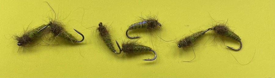 ElectricCaddis3 2