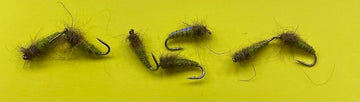 ElectricCaddis3 2