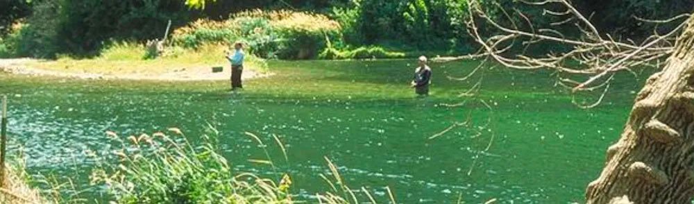 Fly Fishers River