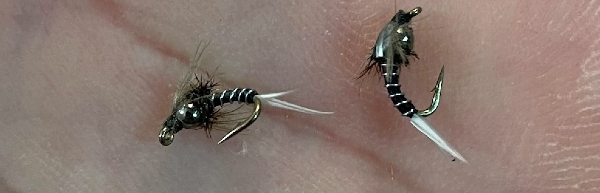 HideABeadBaetisLandscape 2