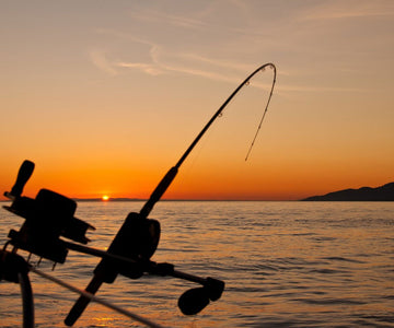 How To Cast A Fishing Rod