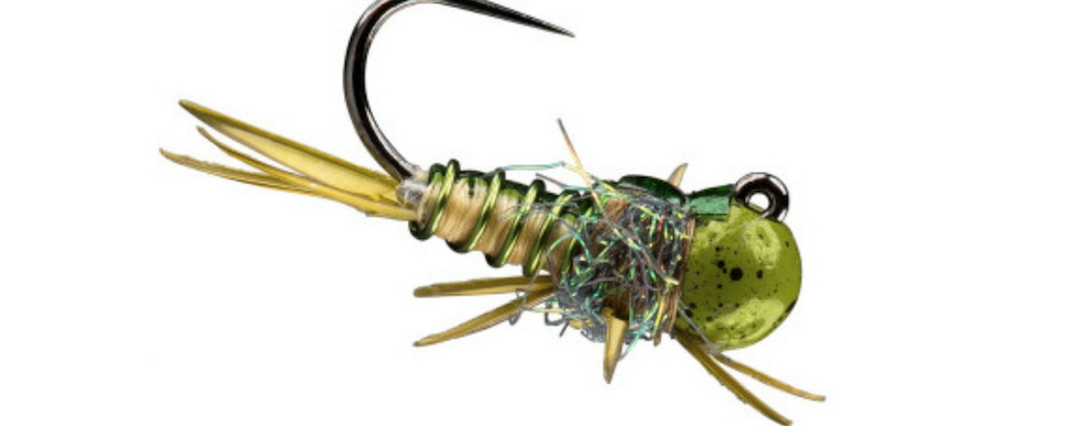 RioPointDrakeFly e1649790109175 2