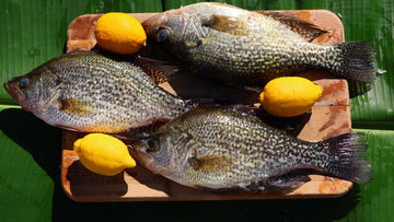 Fried Crappie: Southern Fried and Lemon Pepper Recipes