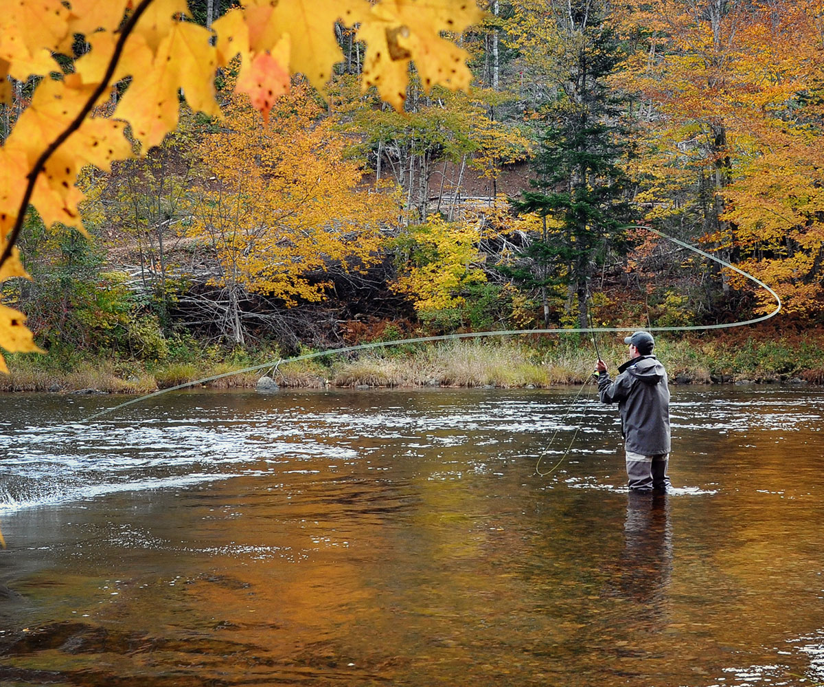 eecabafa f538 4fc9 8467 7c23a13bde03