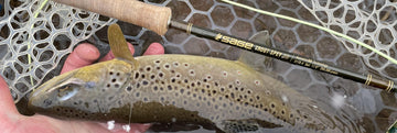 troutspey1 scaled 1 1