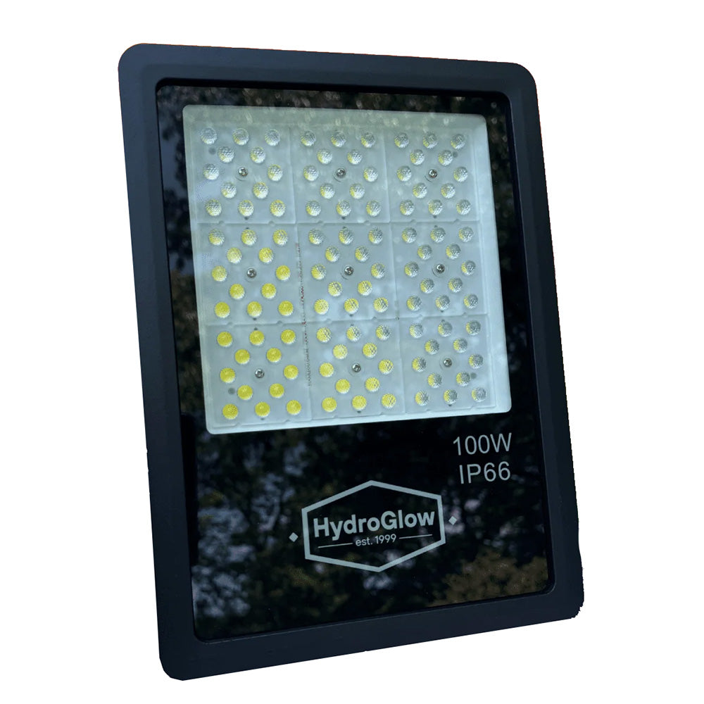Hydro Glow 100W AboveWater LED Floodlight 120V  Daylight White FL100W