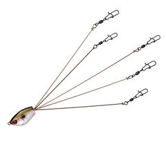 Yum F2 Lil Suzee 425in 8ct Watermelon Seed