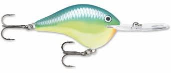 Rapala DT 20 Series Caribbean Shad