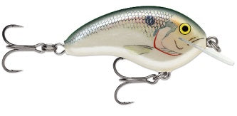 Rapala Ott Garage Tiny 4 5/16 2.25 Big Shad
