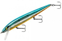 Smithwick Perfect 10 Rogue 5.5 Chrome Blue/Orange Belly