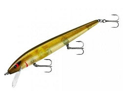 Smithwick Perfect 10 Rogue 5.5 Ayu