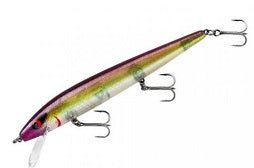 Smithwick Perfect 10 Rogue 5.5 Lady