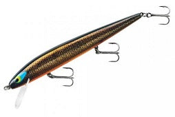 Smithwick Perfect 10 Rogue 5.5 Gold Rogue