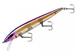Smithwick Perfect 10 Rogue 5.5 Table Rock Shad
