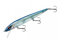 Smithwick Perfect 10 Rogue 5.5 Blue Herring