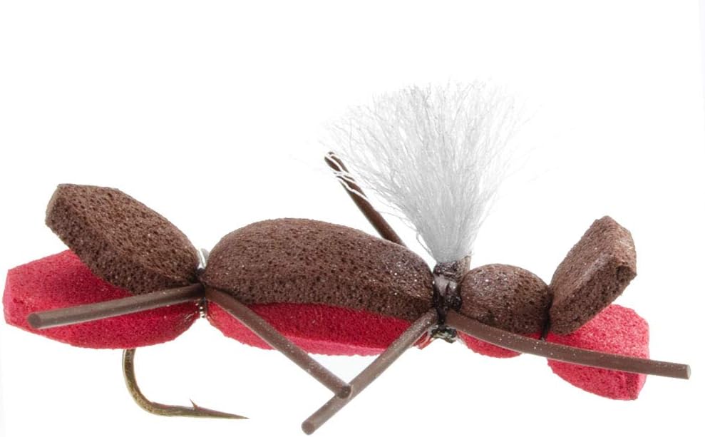 The Fly Fishing Place Basics Collection - Parachute Chernobyl Ant Foam Dry Fly Assortment - 10 Dry Fishing Grasshopper Dropper Flies - 5 Patterns - Hook Size 10