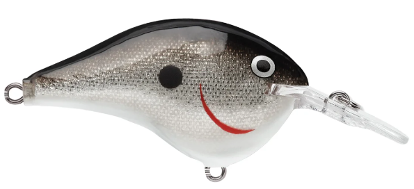 Rapala DT Series 6 3/8 2 Silver