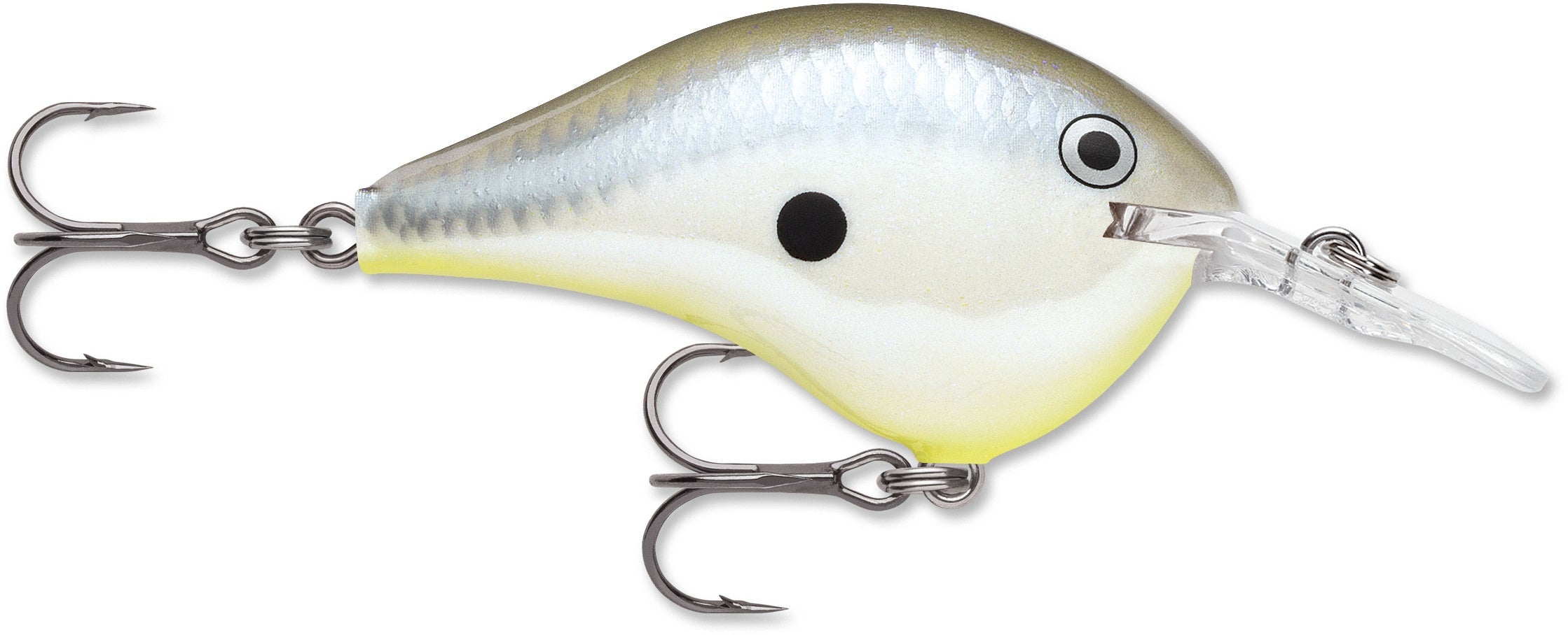 Rapala DT Series 6 3/8 2 Disco Shad