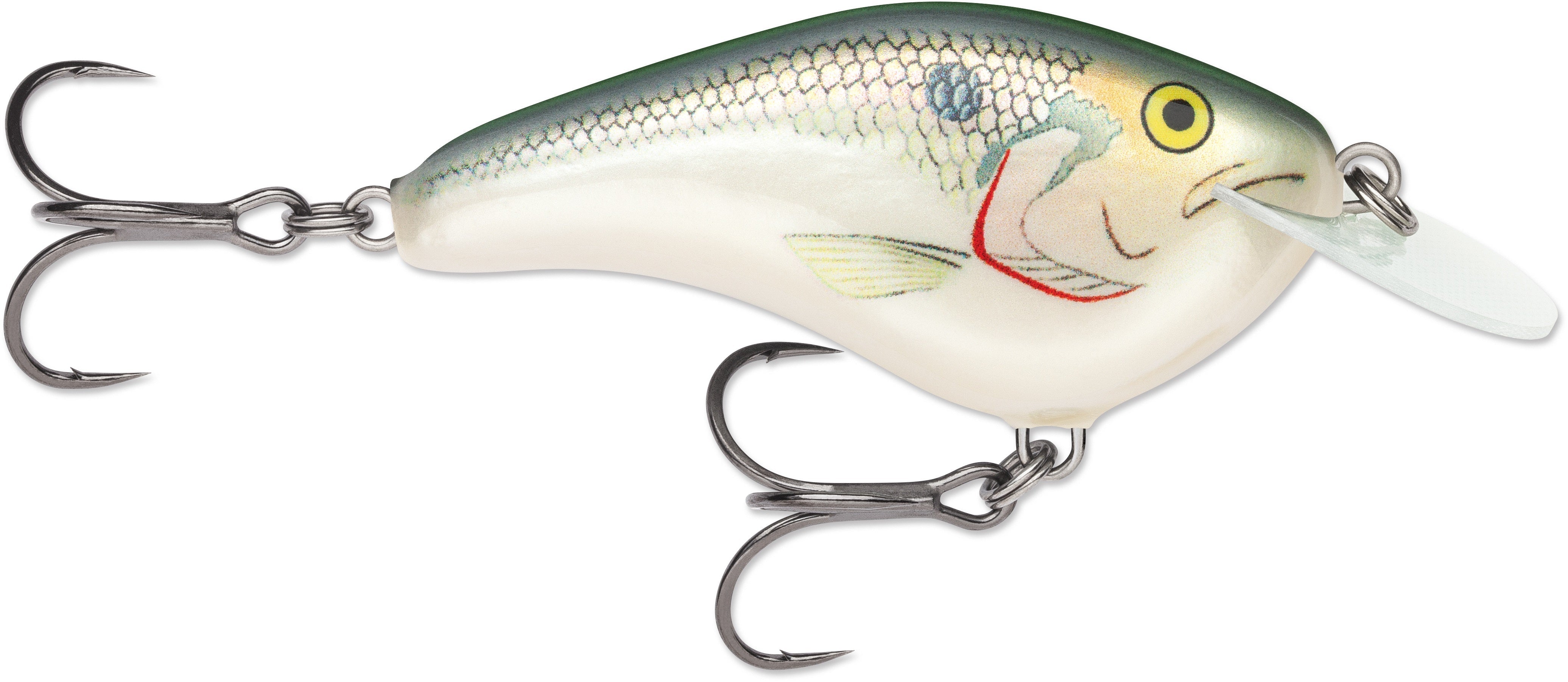 Rapala Ott Garage Slim 6 1/2 2.75 Shad