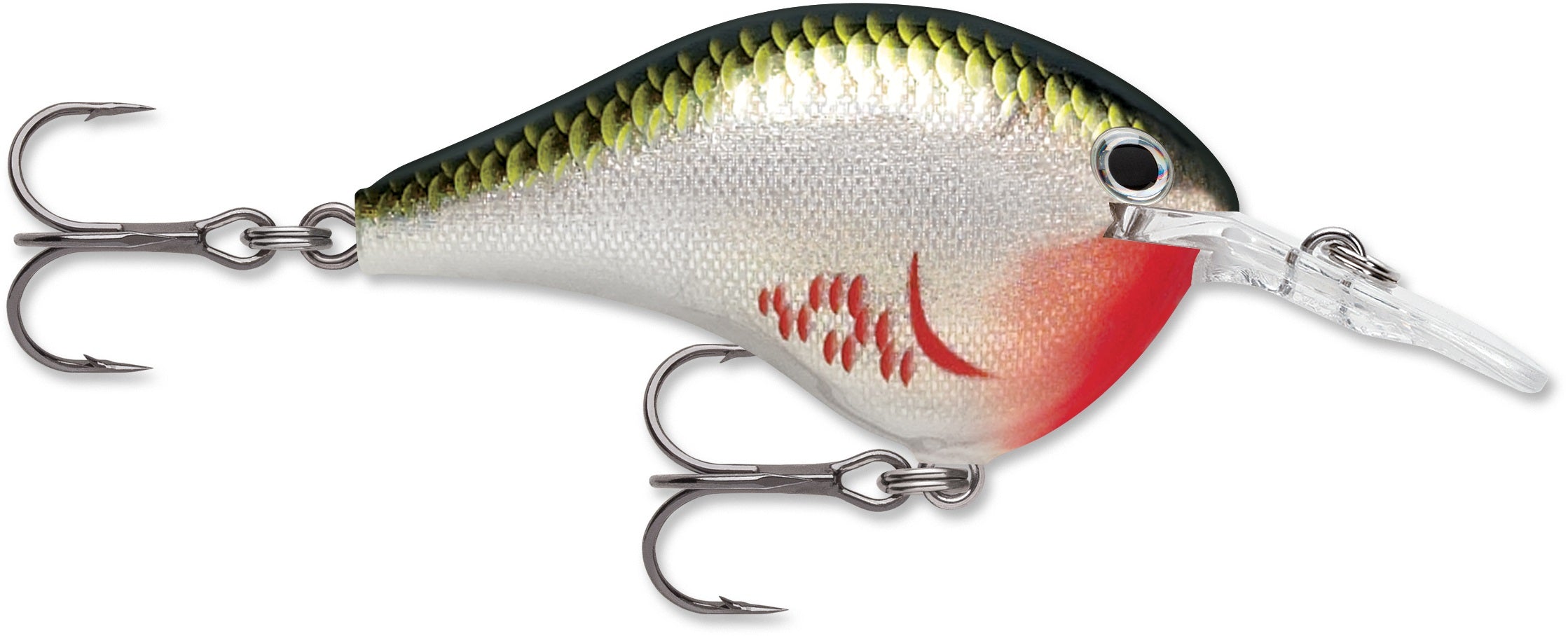 Rapala DT Series 6 3/8 2 Bleeding Olive Shiner