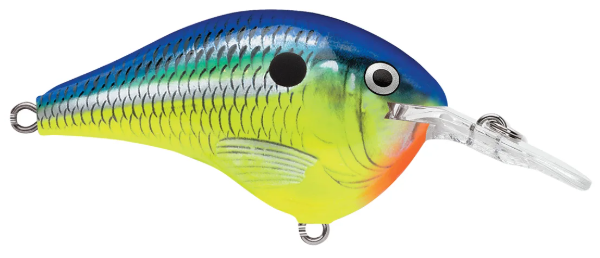 Rapala DT Series 6 3/8 2 Parrot