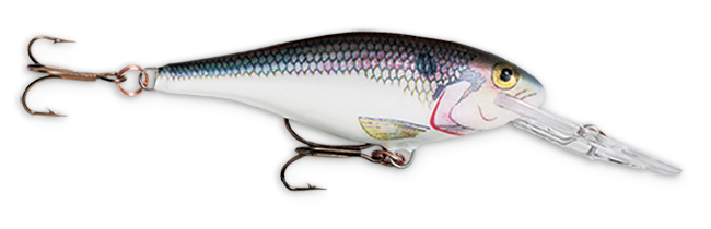 Rapala Shad Rap 2 3/4 1/4 Shad