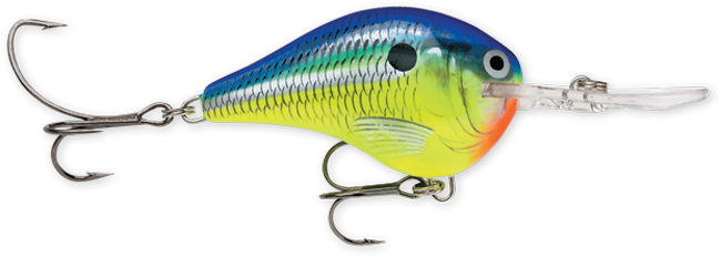 Rapala DT Series 10 3/5oz 2.25in Parrot