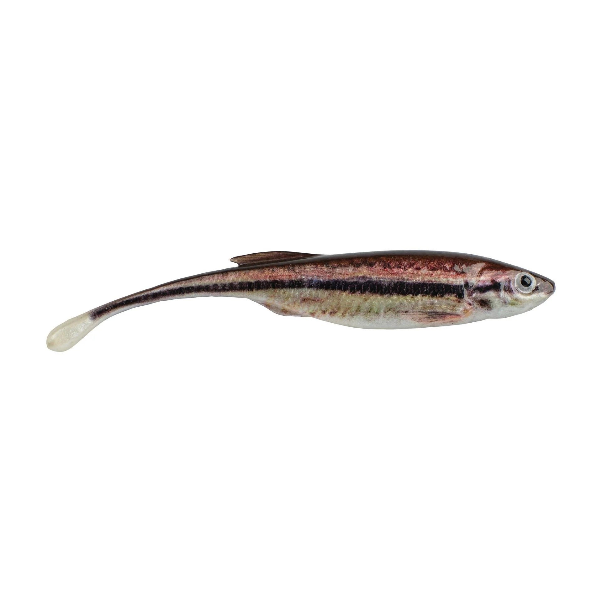 Berkley PowerBait Drip Minnow 4 HD Blacknose Shiner 5ct