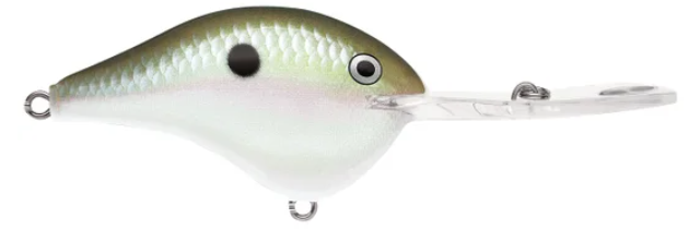 Rapala DT 20 Series Green Gizzard Shad