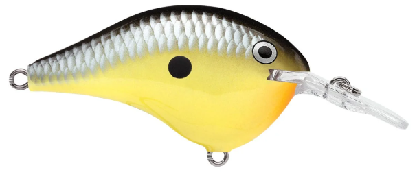 Rapala DT Series 6 3/8 2 Old School