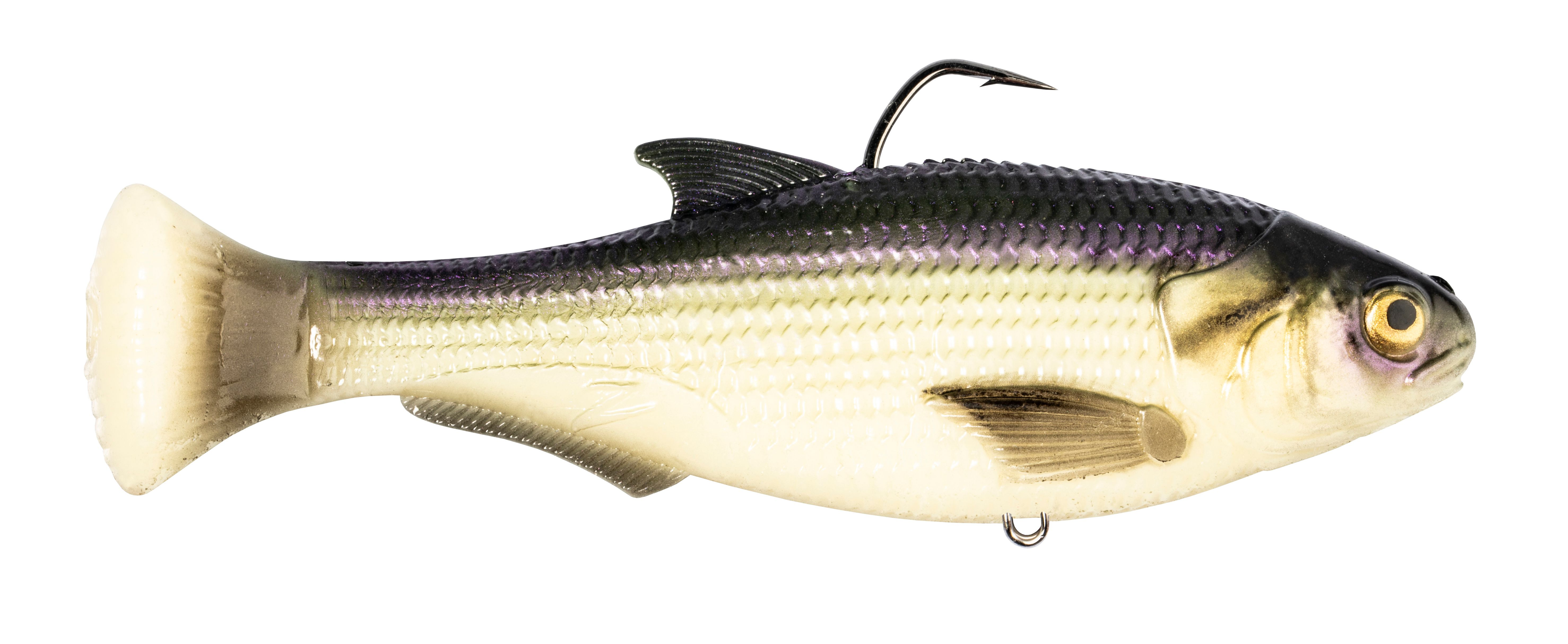Z-MAN Shadtron LT4.5in. Fast Sink Fishbone