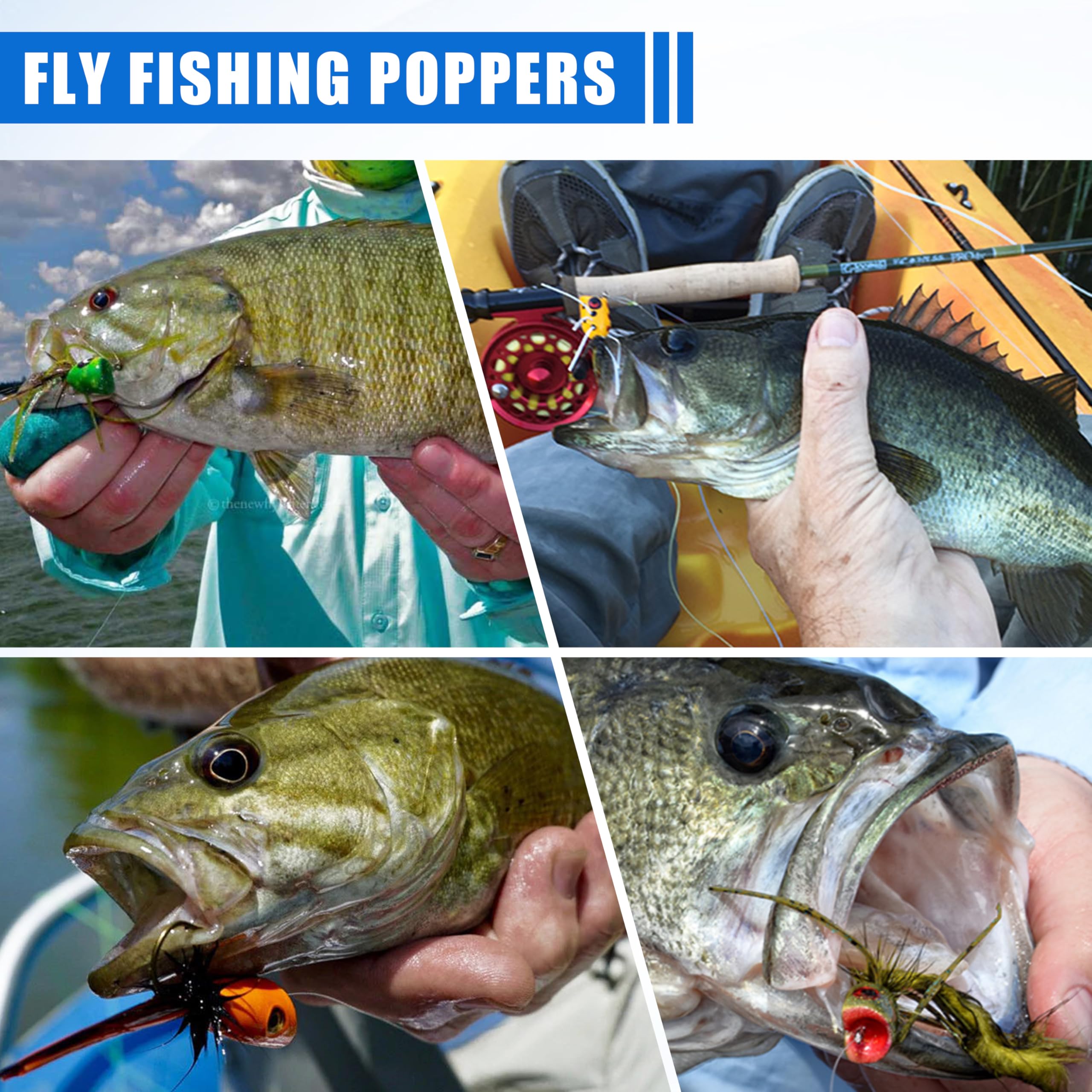 Fly Fishing Popper Flies, Fly Popper Fishing Lures Bass Bluegill Crappie Trout Salmon Panfish Perch Flies Kit for Fly Fishing