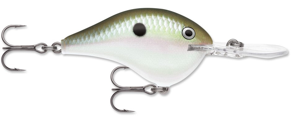 Rapala DT Series 16' 3/4 Green Gizzard Shad