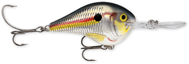 Rapala DT Series 16' 3/4 Shad