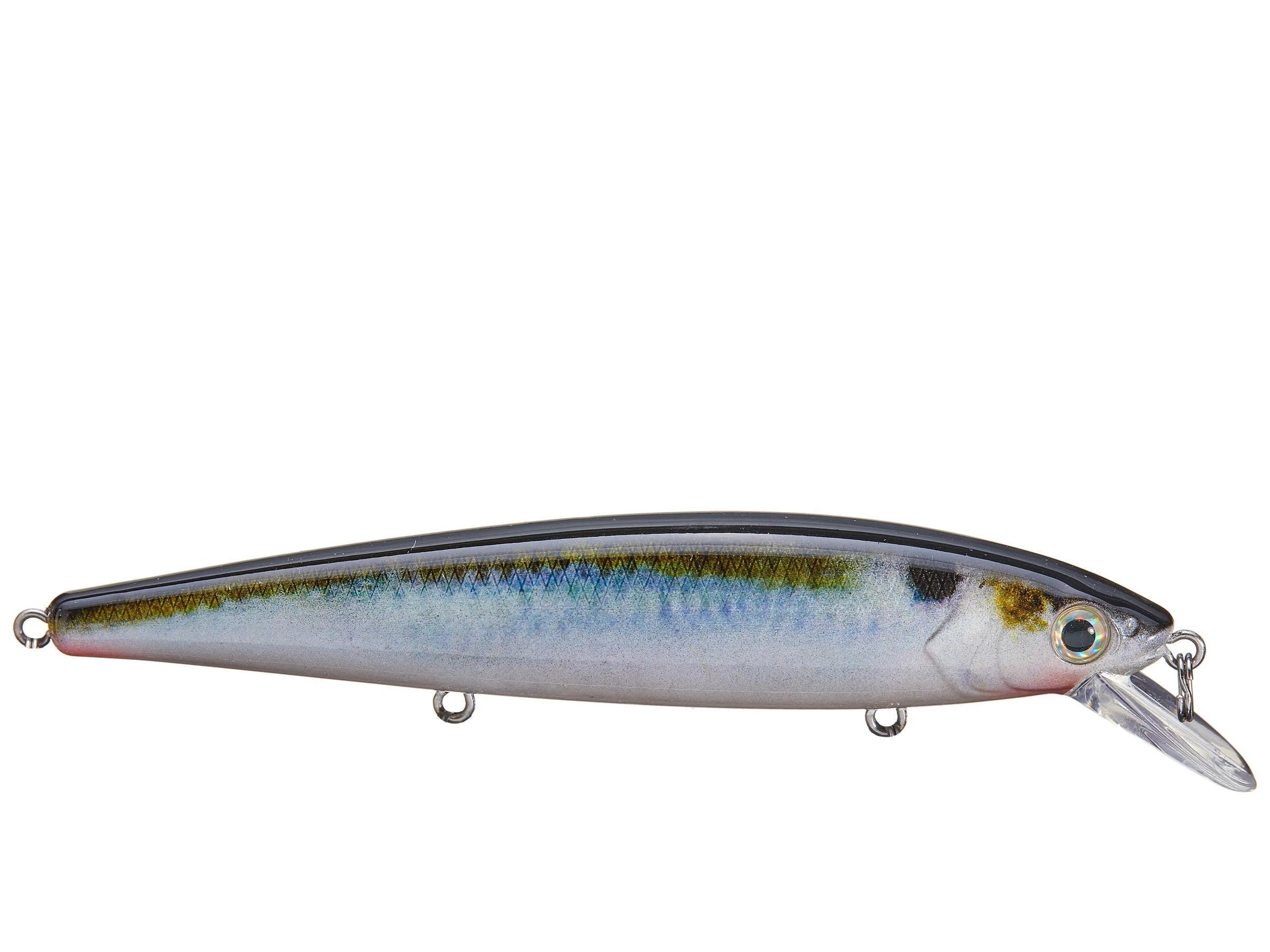 Strike King KVD Jerkbait 3 Hook 5.5in Natural Shad