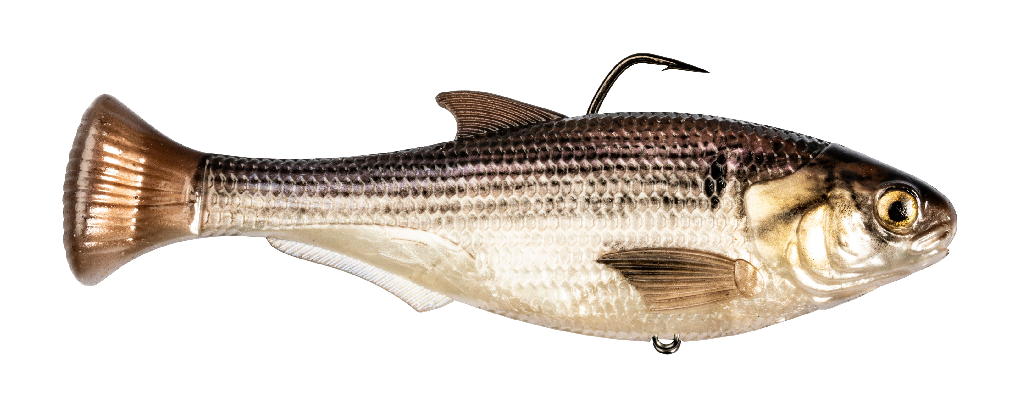 Z-MAN Shadtron LT4.5in. Slow Sink Gizzard Shad